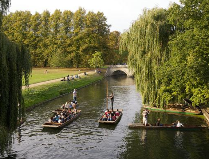 Punting on the Cam